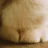 tiptiptoe